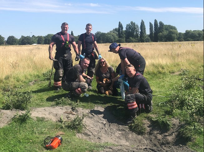 Crew rescuing rabbit