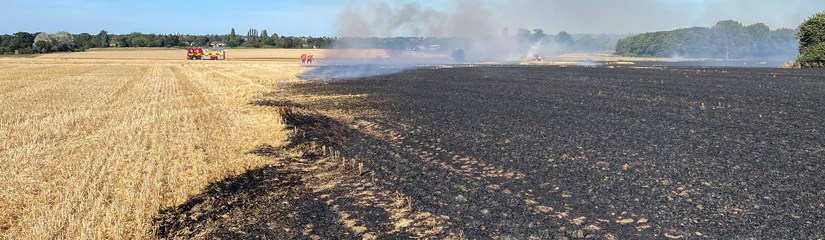 Farm fire
