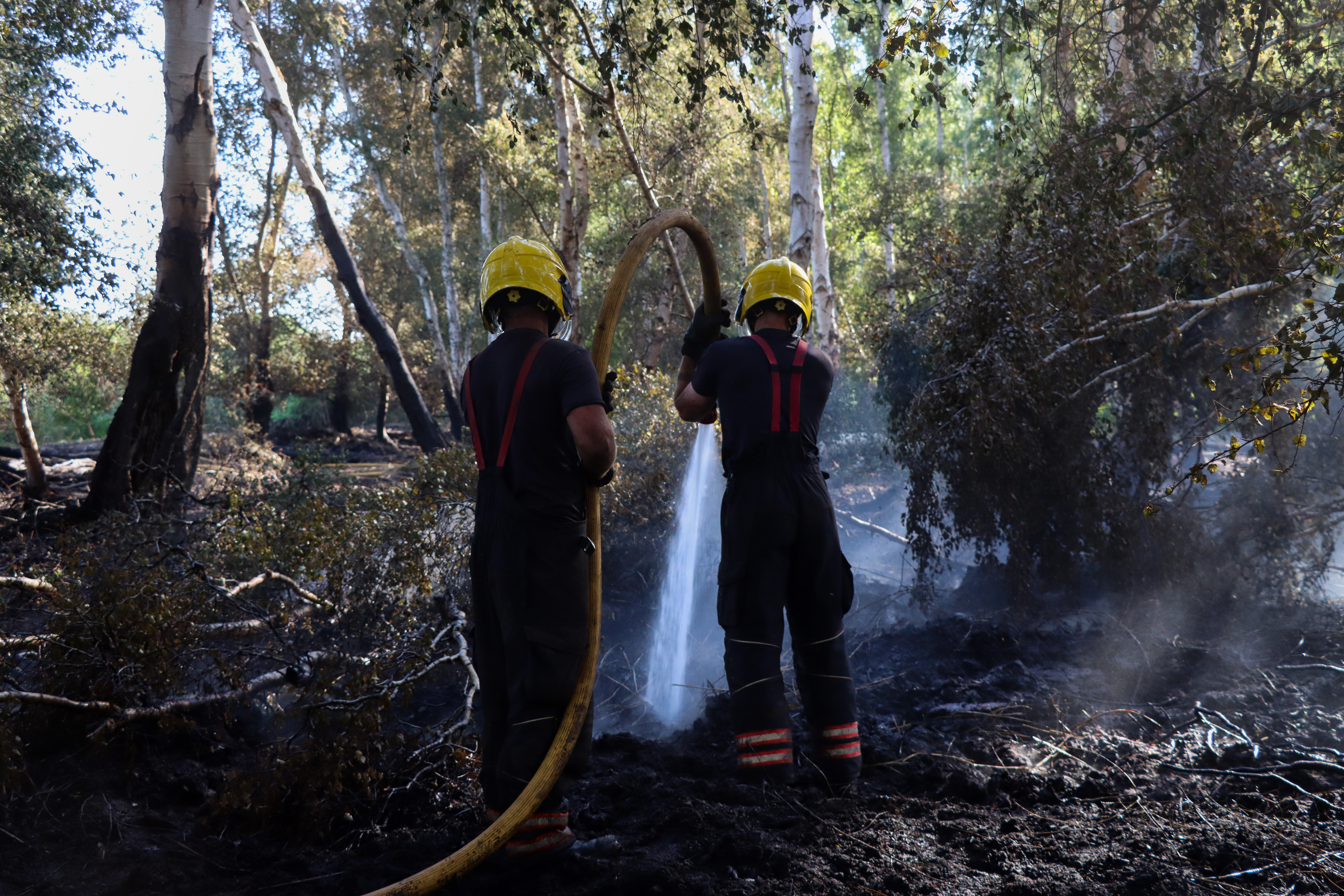 Fire in Holme Fen